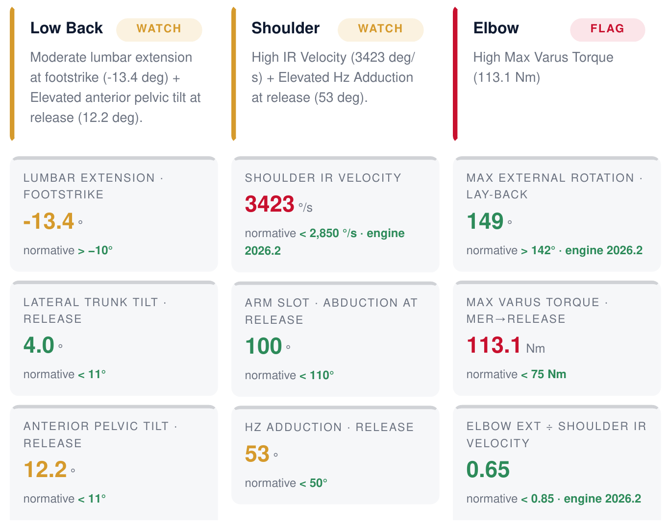 The health section of a sample assessment report: low back, shoulder and elbow cards with watch and flag marks, and the nine measures under them.